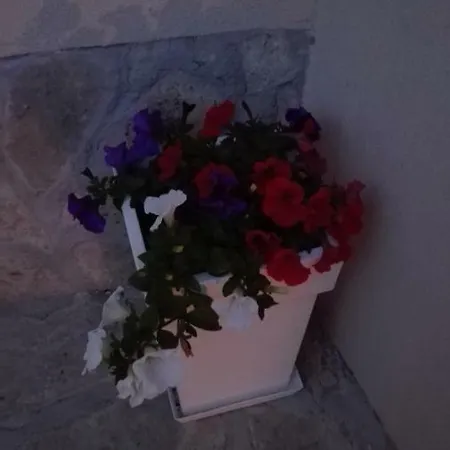 Appartamento Apartman Sara Šibenik